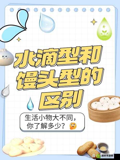 水滴型与馒头型的本质区别：形态各异特点鲜明