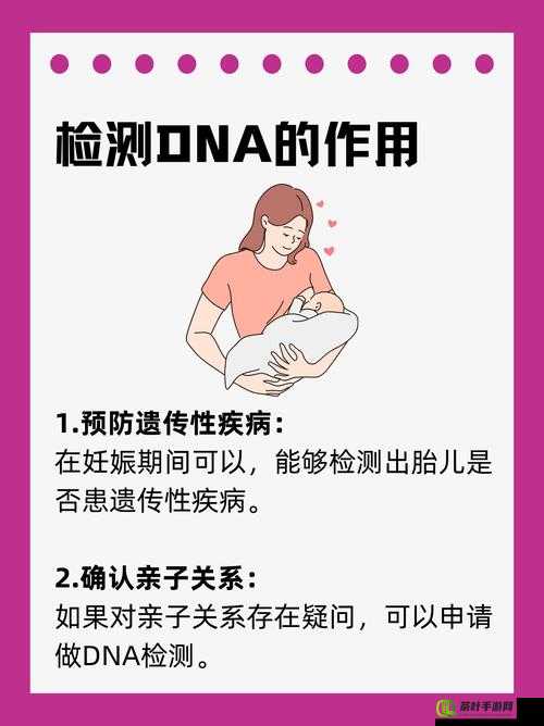 母亲和儿子 DNA 一样吗：探究亲子遗传的奥秘所在