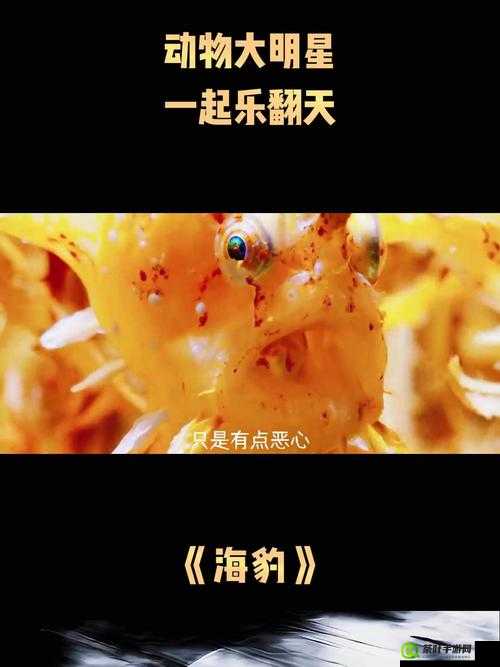 人马畜禽 company limited 旗下动物明星的精彩演绎