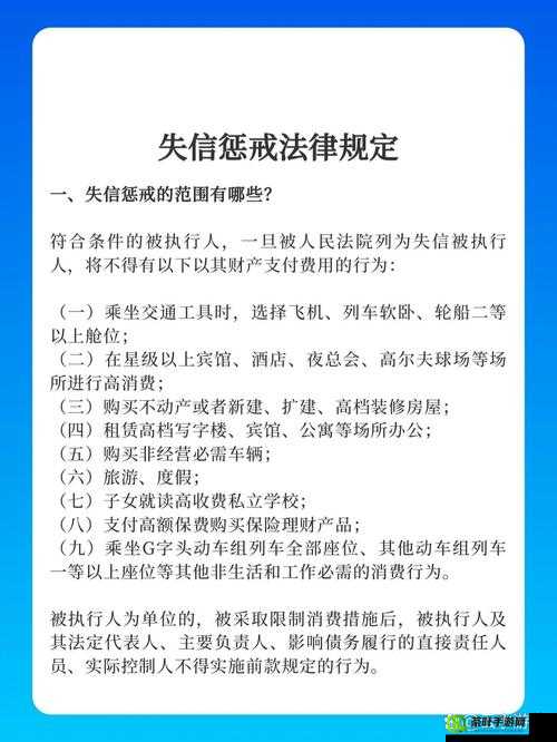 惩戒 2~狂热的从业指导：关于其详细解读与应用策略分析